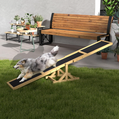Dog Agility Training Seesaw