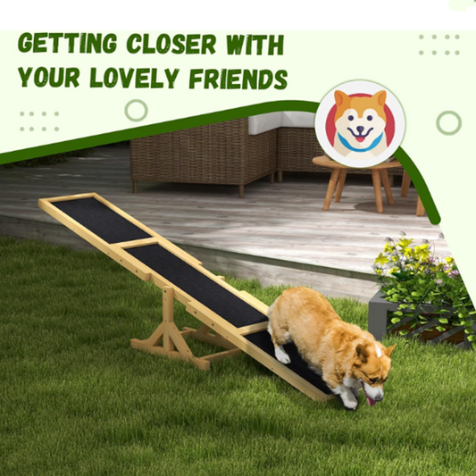 Dog Agility Training Seesaw